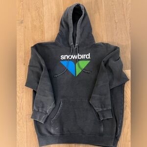 Vintage Snowbird Hoodie